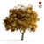 Autumn Bliss Elm Tree 3D model small image 1