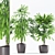 Beautiful Rhapis Palm with Ceramic Pot 3D model small image 1