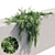 Rosemary 2 - Versatile, High-Quality Object 3D model small image 5