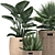 Tropical Plant Collection: Exotic Palms & Indoor Greenery 3D model small image 2