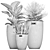 Tropical Plant Collection: Exotic Palms & Indoor Greenery 3D model small image 5