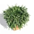 1.1m Rosemary Pot 3D model small image 3