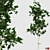 Versatile Four Seasons Trees 3D model small image 2