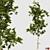 Versatile Four Seasons Trees 3D model small image 3