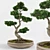 Artistic Bonsai: Exquisite Decorative Tree 3D model small image 1