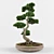 Artistic Bonsai: Exquisite Decorative Tree 3D model small image 2
