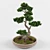Artistic Bonsai: Exquisite Decorative Tree 3D model small image 3