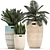 Tropical Plant Collection: Exotic & Decorative in Baskets 3D model small image 1