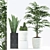 188 Plants: Sansevieria, Cactus, Rhapis Palm 3D model small image 1