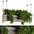 Wooden Box Hanging Plants 3D model small image 1