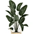 Exotic Indoor Plant Collection 3D model small image 3