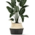 Exotic Indoor Plant Collection 3D model small image 4