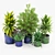 Maya Blue & Green Ceramic Planters 3D model small image 2