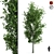 Sorrel Tree: Natural Beauty for Your Space 3D model small image 1