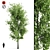 Sorrel Tree: Natural Beauty for Your Space 3D model small image 4