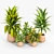 Minimalist Tula Planter Set 3D model small image 2