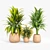 Minimalist Tula Planter Set 3D model small image 3