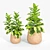 Minimalist Tula Planter Set 3D model small image 4