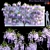 Exquisite Wisteria sinensis Plant 3D model small image 1