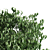 Lush Greenery: Add Life&Beauty! 3D model small image 2