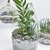 Botanical Bliss: 5 Glass Ball Terrarium Set 3D model small image 2