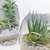 Botanical Bliss: 5 Glass Ball Terrarium Set 3D model small image 3