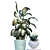 Tropical Houseplant Collection 3D model small image 3