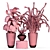 Tropical Houseplant Collection 3D model small image 4