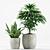 Tropical Greenery Pot Set 3D model small image 2