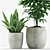 Tropical Greenery Pot Set 3D model small image 3