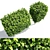 Fastigiate Carpinus Pyramid Hedge - 2m Height 3D model small image 2