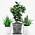 Tropical Pot Plants Set 3D model small image 2