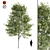 Premium Oak Tree: Majestic and Timeless 3D model small image 1