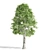 Tupelo Tree: Majestic Fall Colors 3D model small image 2