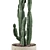 Euphorbia Candelabrum: Unique Indoor Cactus 3D model small image 2