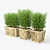 Eco-friendly Bamboo Storage Box 3D model small image 1