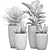 Exotic Tropical Plant Collection 3D model small image 5