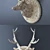 Wild Elegance: Marble Deer & Elephant Wall Sculpture 3D model small image 3