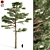  Majestic Pine Tree | 17.90 ft | 3DSMax | Textures 3D model small image 1