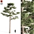  Majestic Pine Tree - 15.28ft Height 3D model small image 1