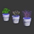 Naturalistic Artificial Succulents 3D model small image 4