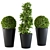 Shapely Outdoor Plants 3D model small image 1