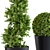 Shapely Outdoor Plants 3D model small image 2