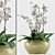 Exquisite Orchid Flower Pot 3D model small image 1