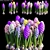 Elegant Hyacinthus Model with High Polys 3D model small image 1