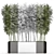 Tropical Plant Collection in White Pots 3D model small image 4