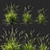 Koeleria Macrantha Grass: Vibrant and Lifelike Turf for Your Landscape 3D model small image 1