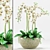 Orchid Flower Pot 200: Max 2012 & FBX 3D model small image 1