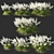 Elegant White Muhly Grass 3D model small image 1