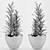 Glossy-leaved Zamioculcas in Pot 3D model small image 3